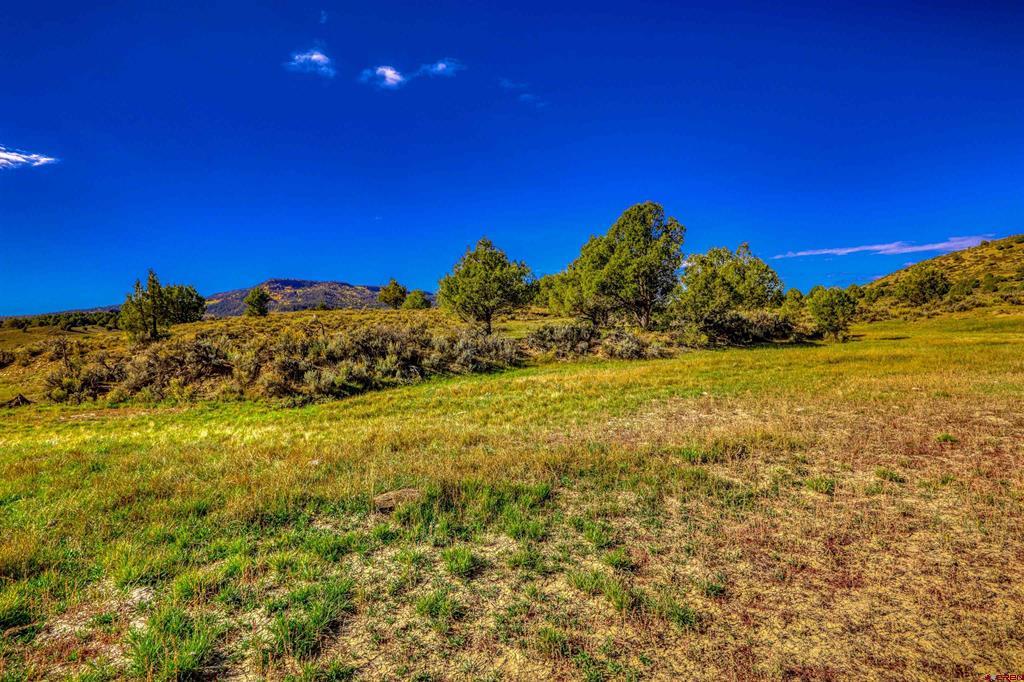 X Tall Pines Place Property Photo 14