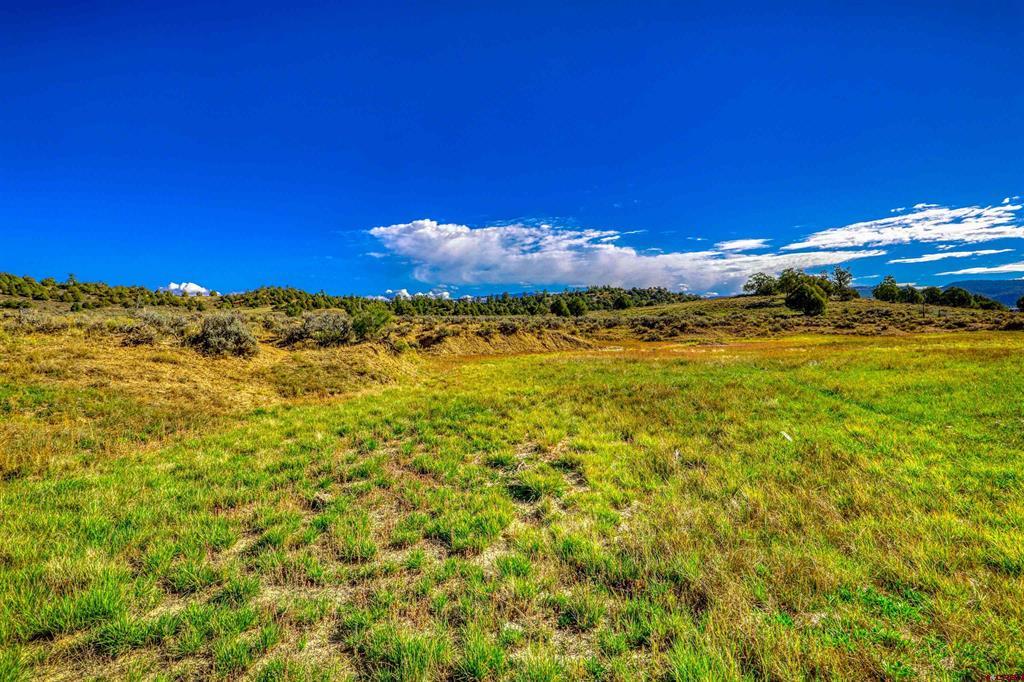 X Tall Pines Place Property Photo 15