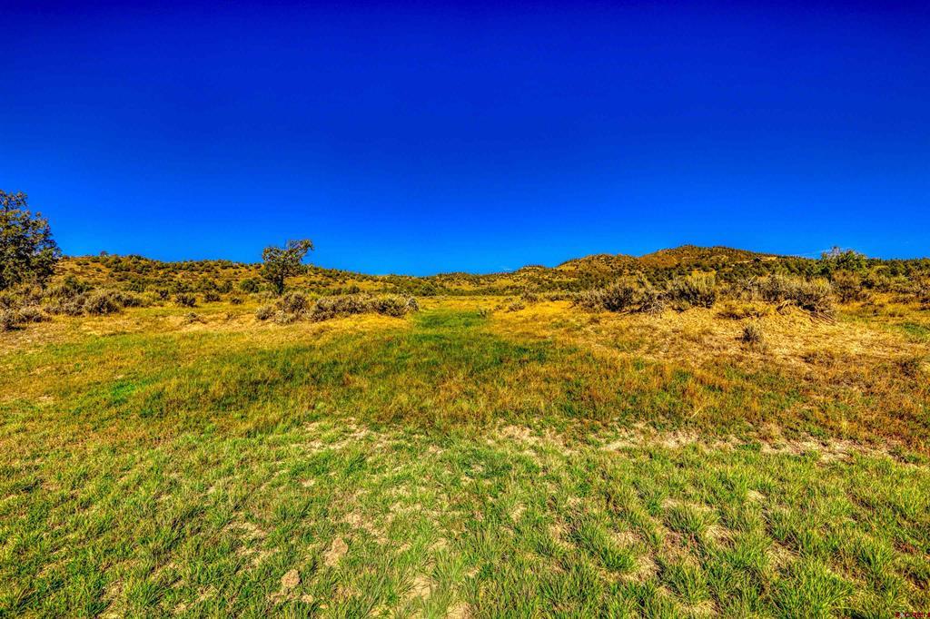X Tall Pines Place Property Photo 16