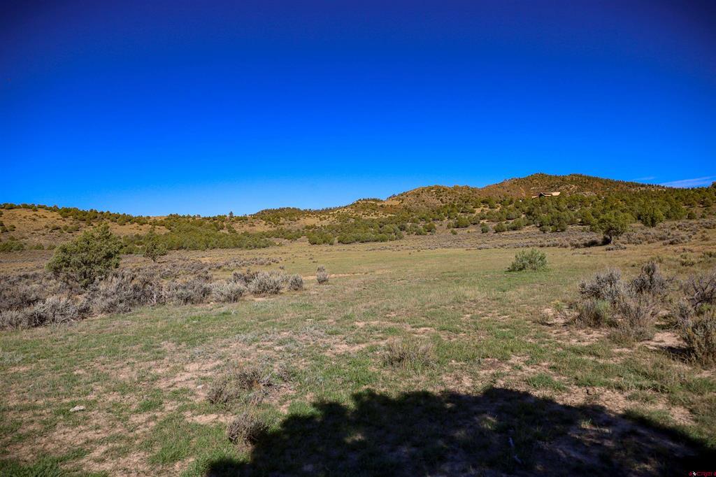 X Tall Pines Place Property Photo 23