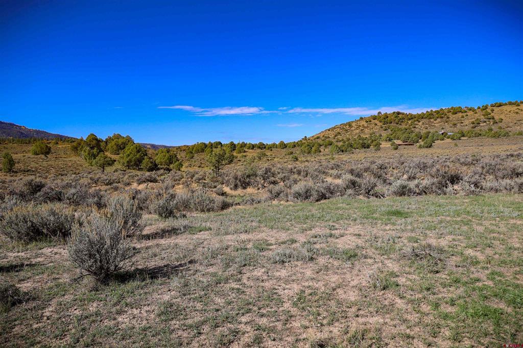 X Tall Pines Place Property Photo 24