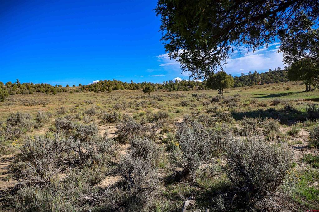 X Tall Pines Place Property Photo 25
