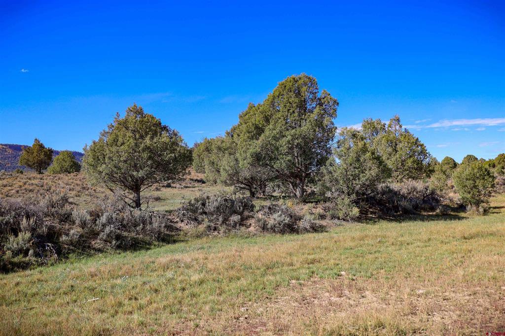 X Tall Pines Place Property Photo 26