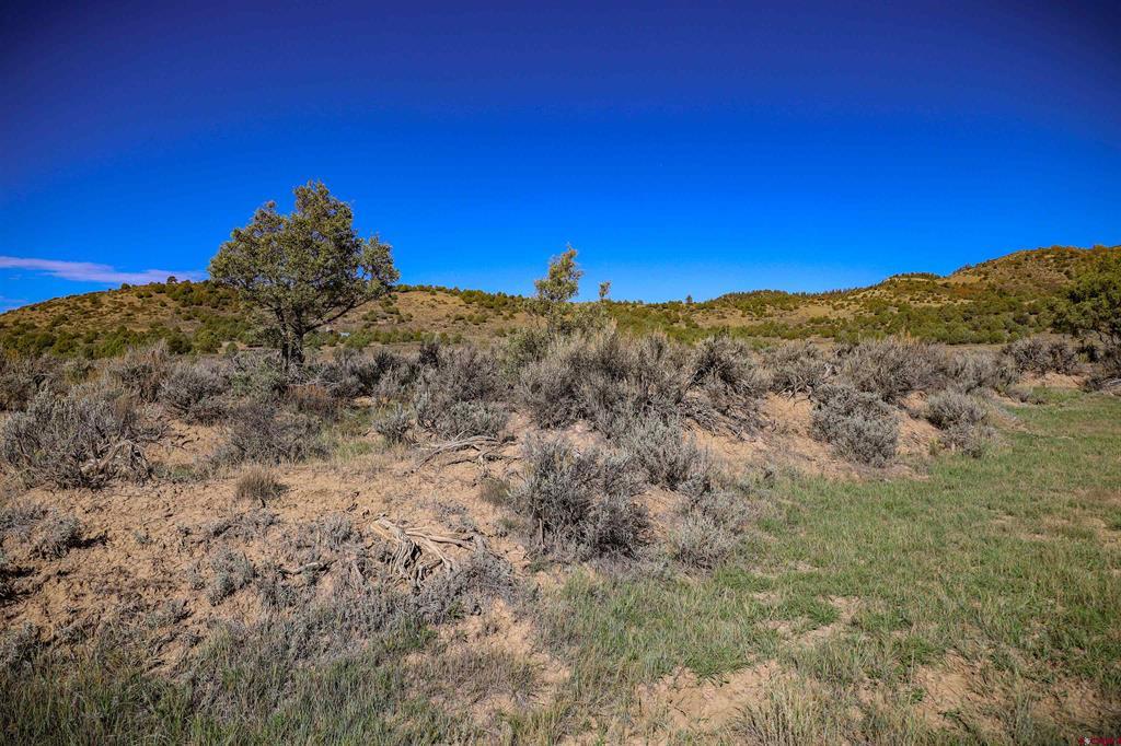 X Tall Pines Place Property Photo 28