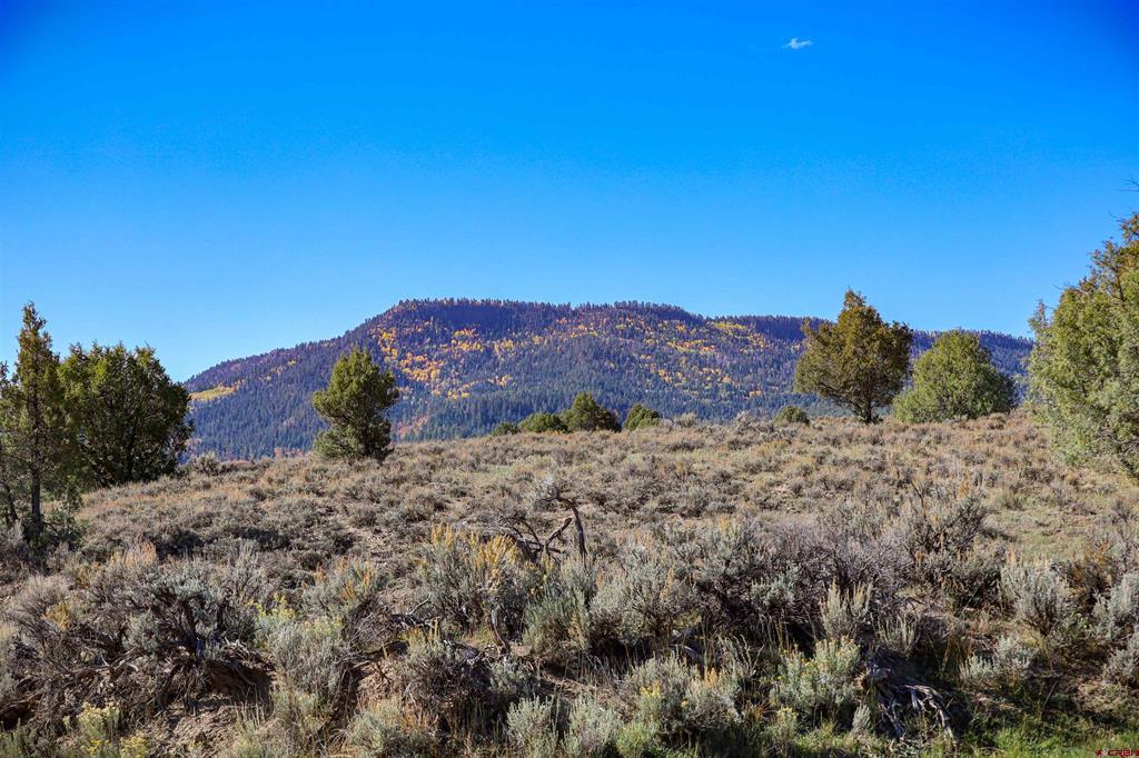 X Tall Pines Place Property Photo 30