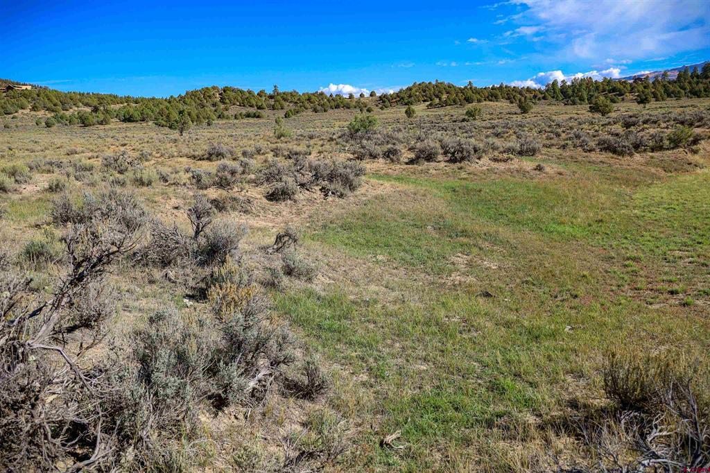 X Tall Pines Place Property Photo 34