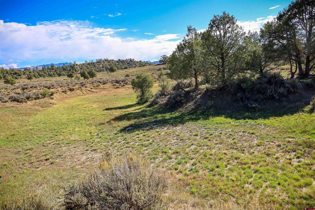 X Tall Pines Place Property Photo 35