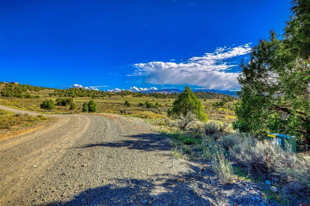 X Tall Pines Place Property Photo 45