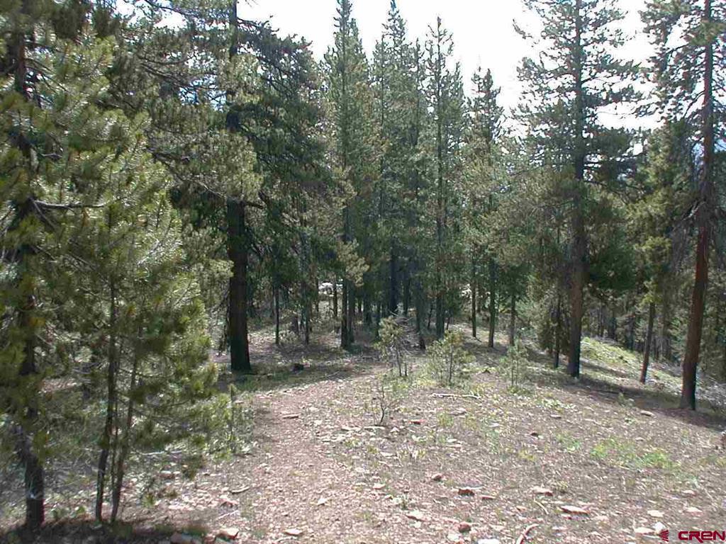 2890 Trappers Way Property Photo 11
