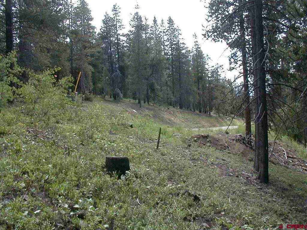 2890 Trappers Way Property Photo 13