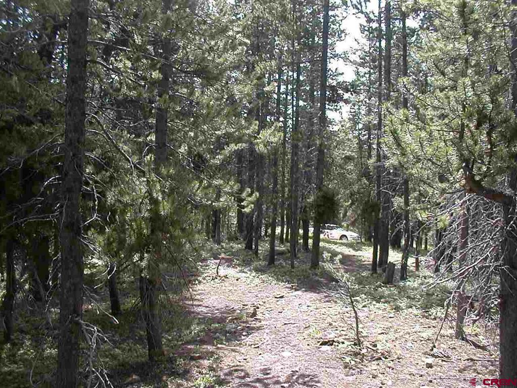 2890 Trappers Way Property Photo 15