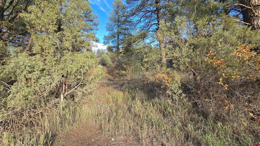 244 Ute Drive Property Photo 2