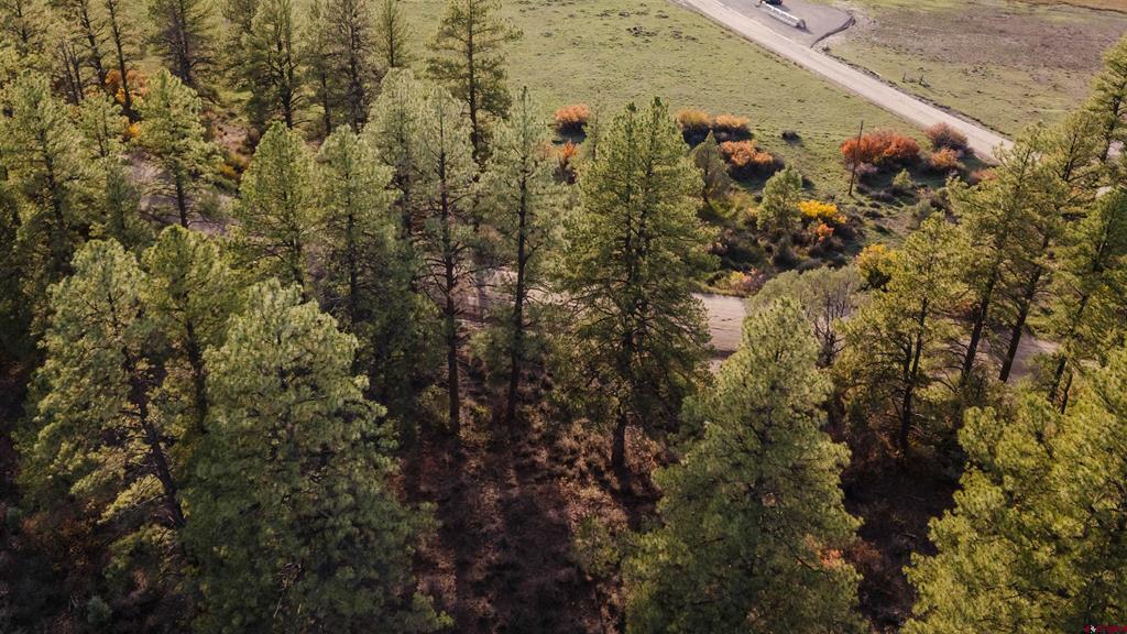 244 Ute Drive Property Photo 11