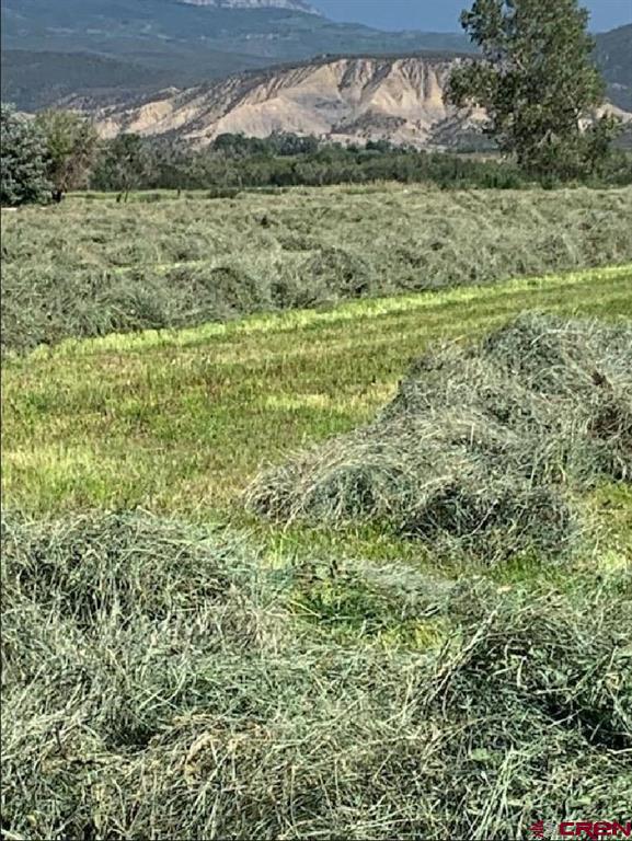 Lot: 1 Highway 550 Property Photo 3