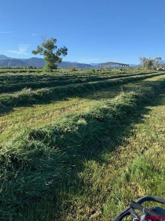 Lot: 1 Highway 550 Property Photo 4