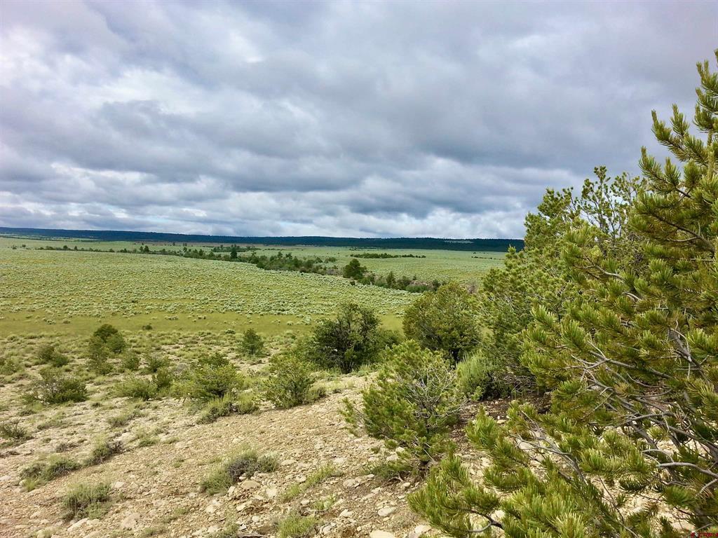955 County Road 303 Road Property Photo 7