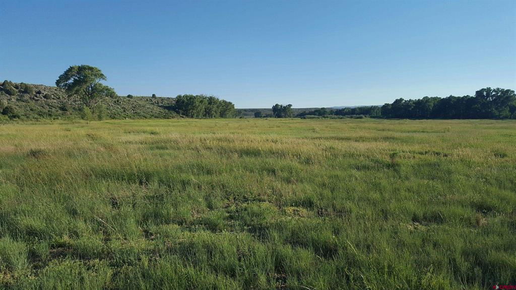 12753 13.5 Road Property Photo 6