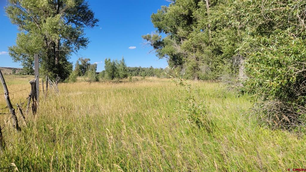 12753 13.5 Road Property Photo 8