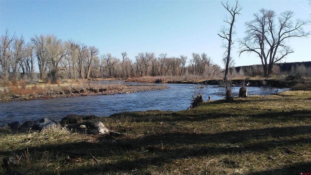 12753 13.5 Road Property Photo 14