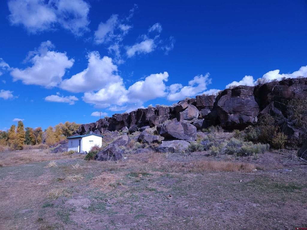 12753 13.5 Road Property Photo 15