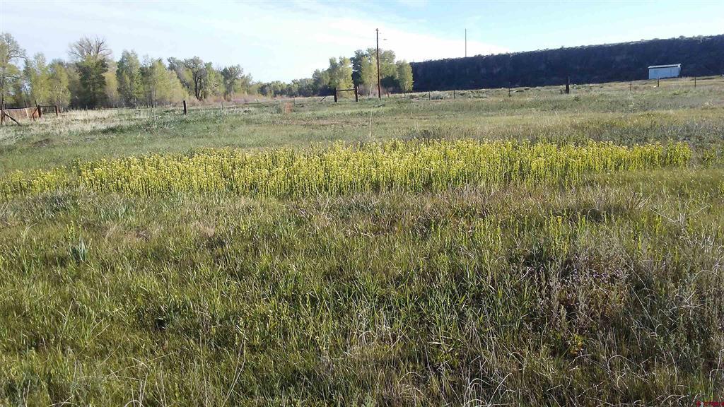 12753 13.5 Road Property Photo 21