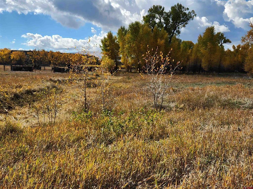 12753 13.5 Road Property Photo 30