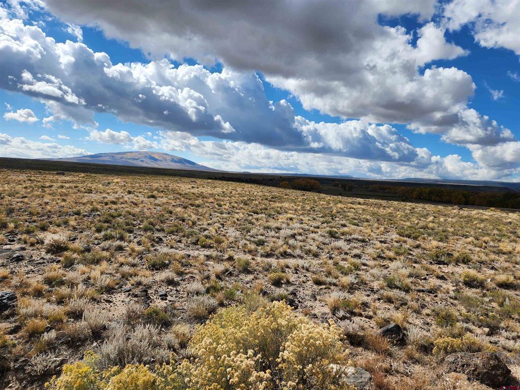12753 13.5 Road Property Photo 37