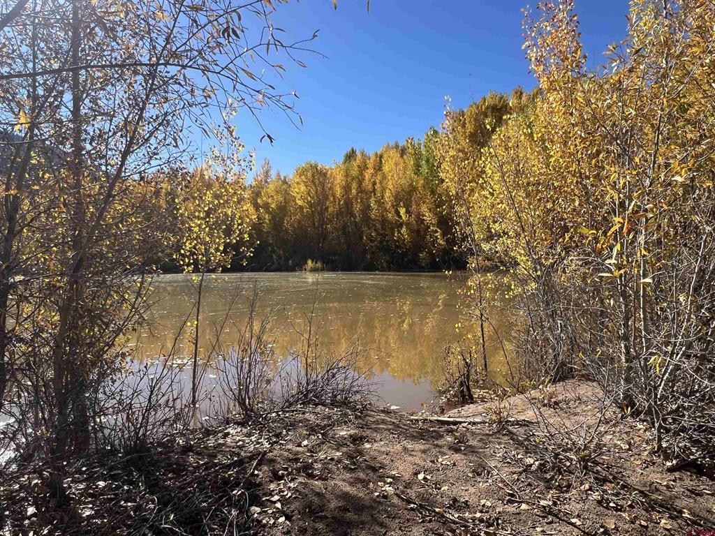27848 Us Hwy 550 Property Photo 12