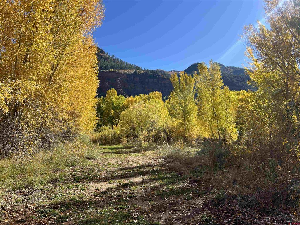 27848 Us Hwy 550 Property Photo 13