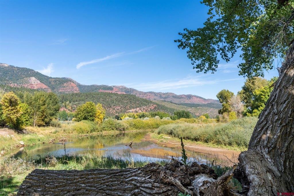 27848 Us Hwy 550 Property Photo 20