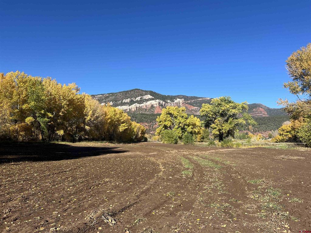 27848 Us Hwy 550 Property Photo 25