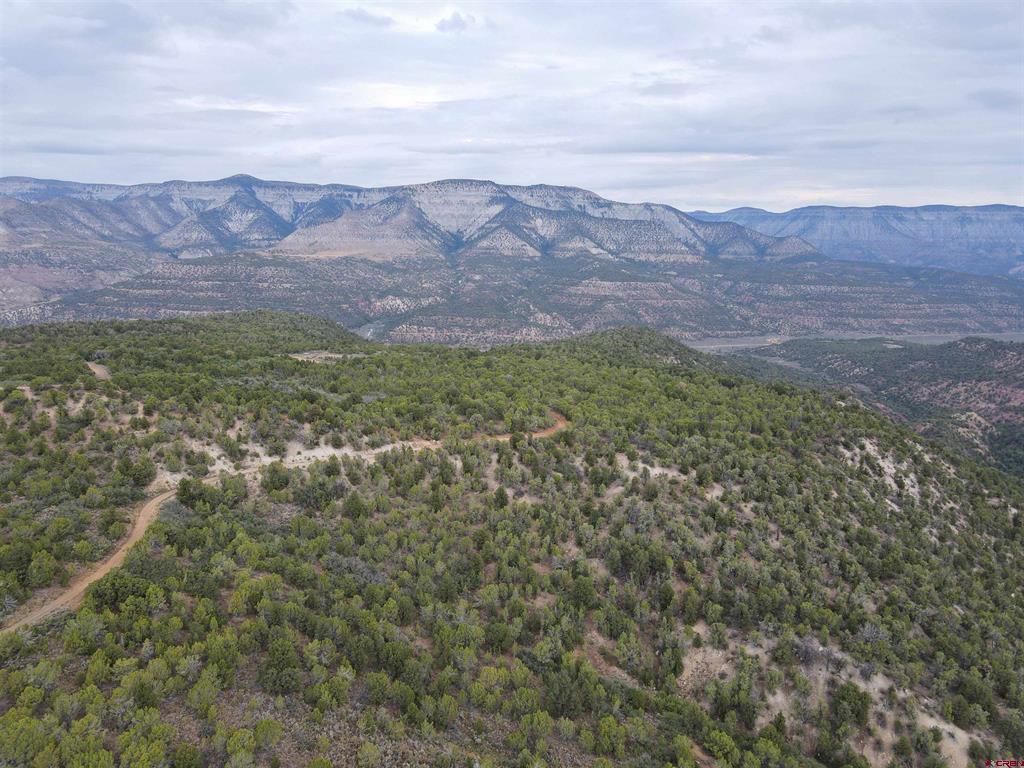 Tbd Property Photo 8