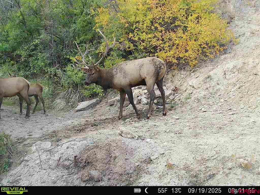 Tbd Property Photo 15