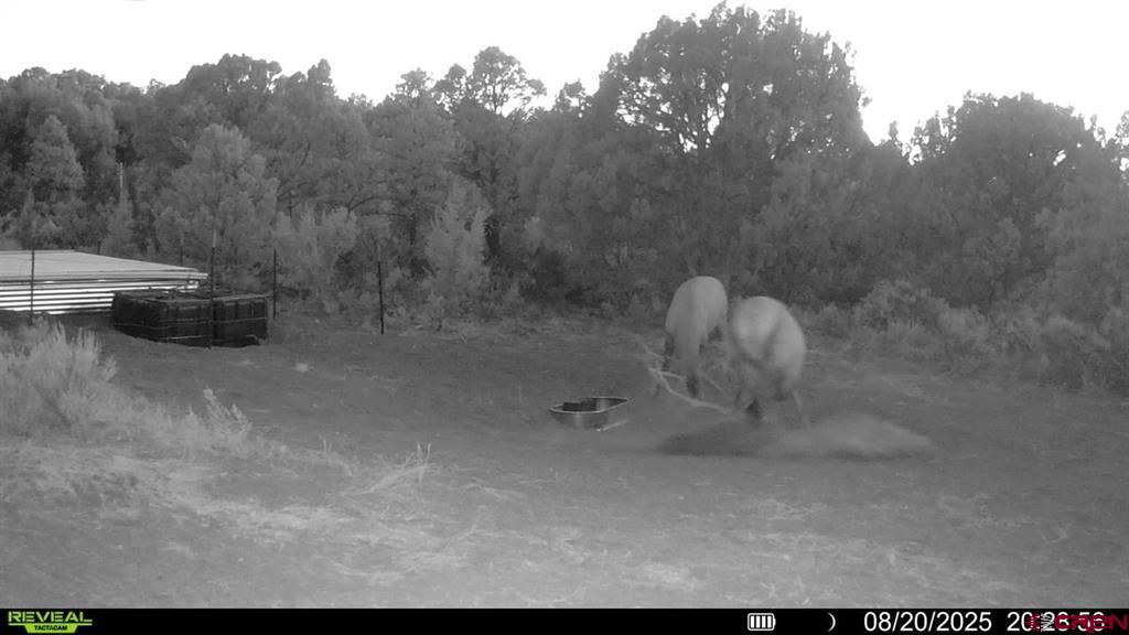 Tbd Property Photo 19