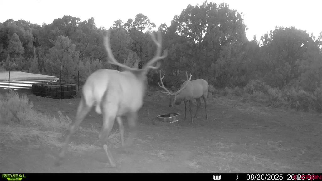 Tbd Property Photo 20