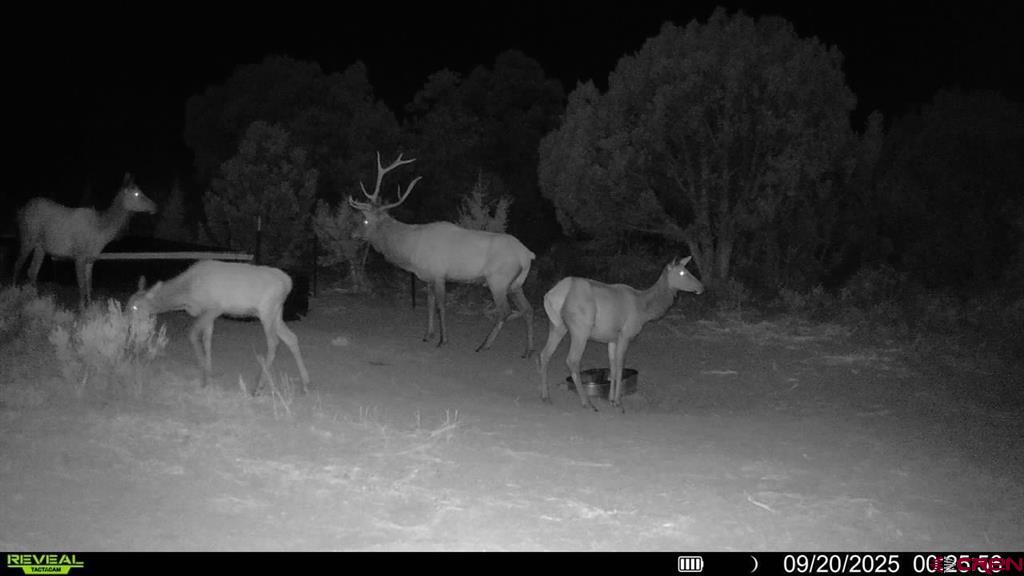 Tbd Property Photo 21