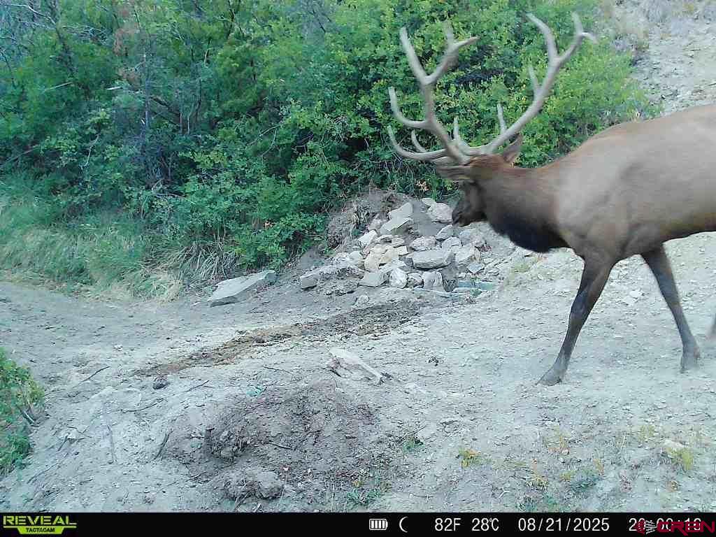 Tbd Property Photo 24