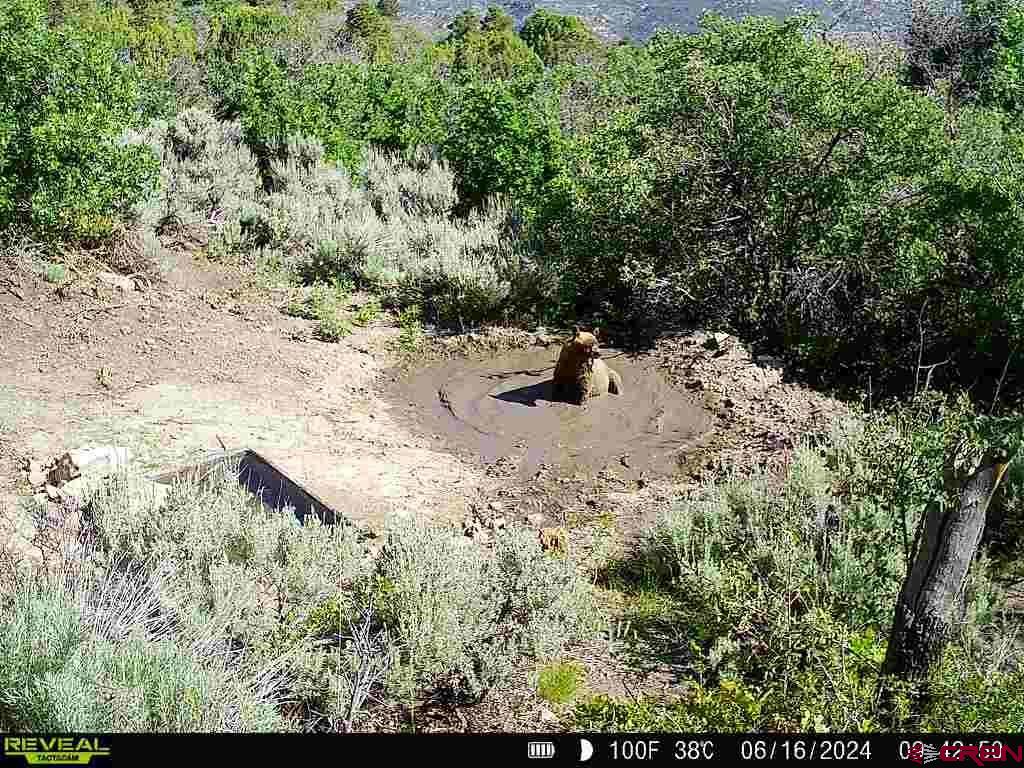 Tbd Property Photo 27
