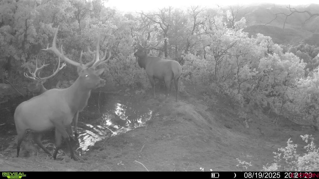 Tbd Property Photo 28