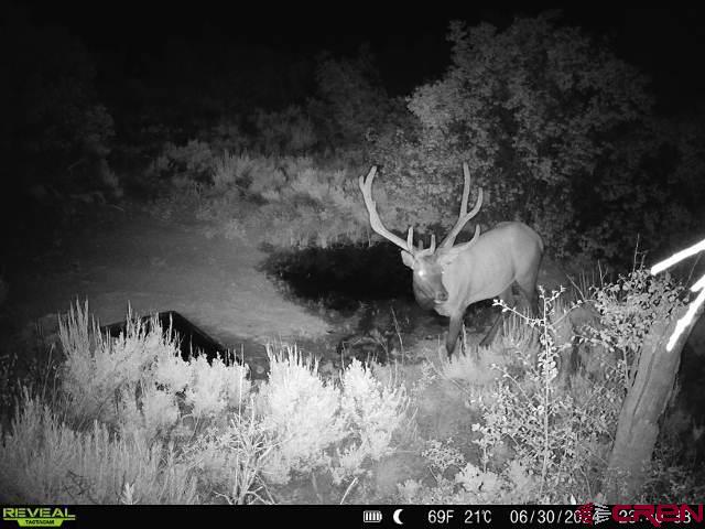 Tbd Property Photo 31