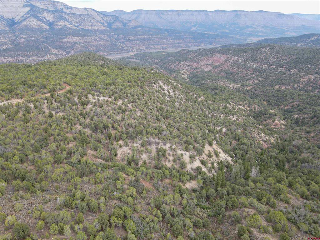 Tbd Property Photo 34