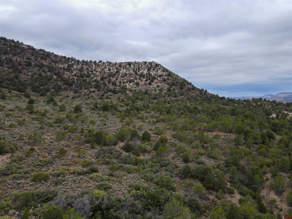 Tbd Property Photo 35