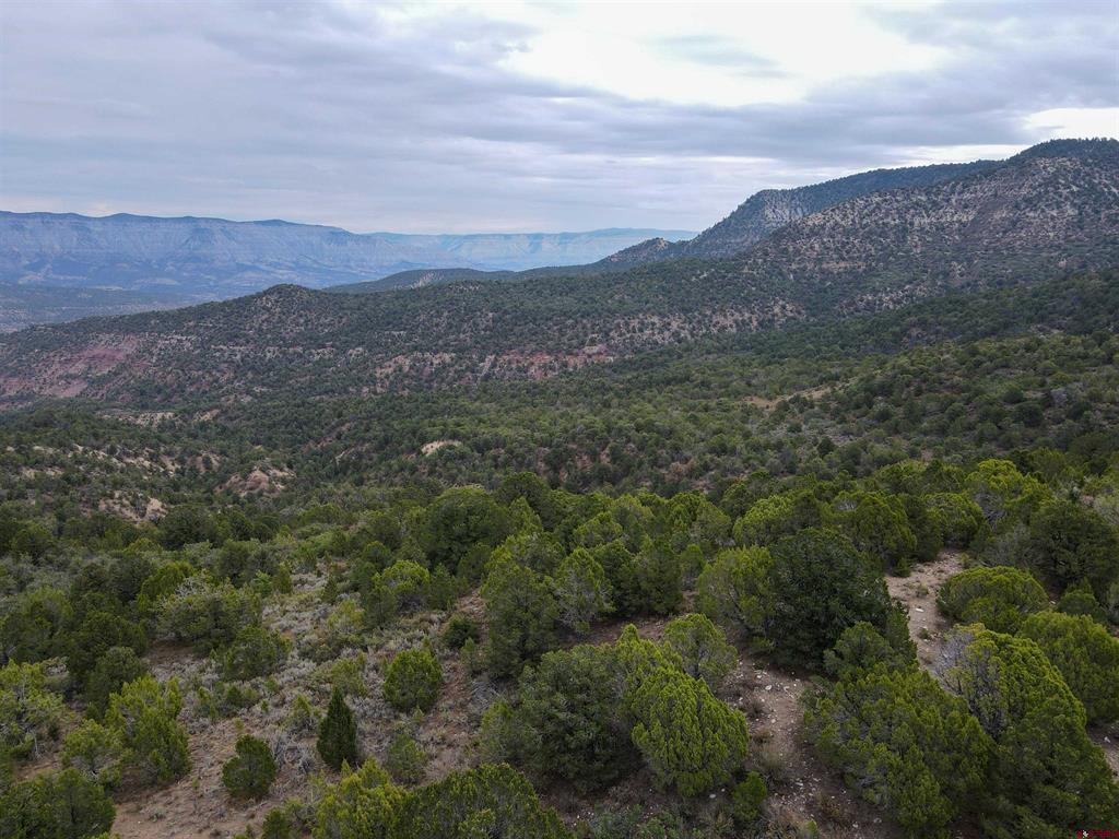 Tbd Property Photo 38