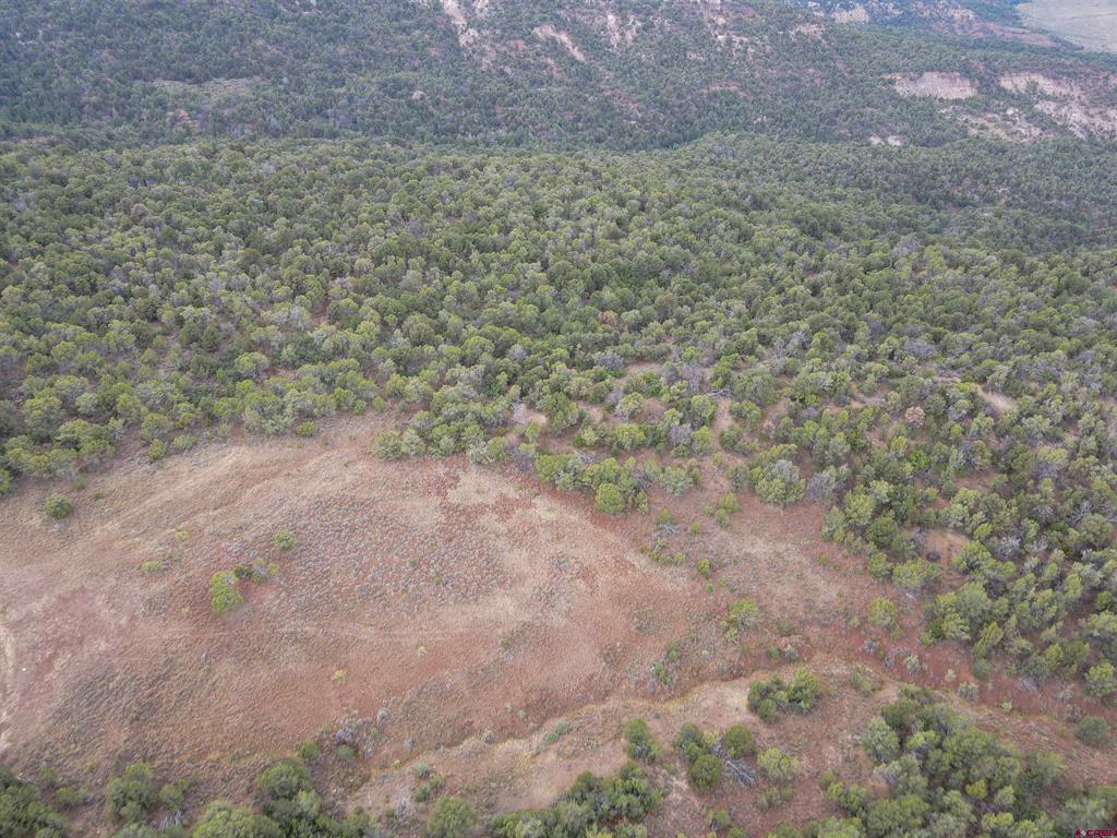 Tbd Property Photo 41