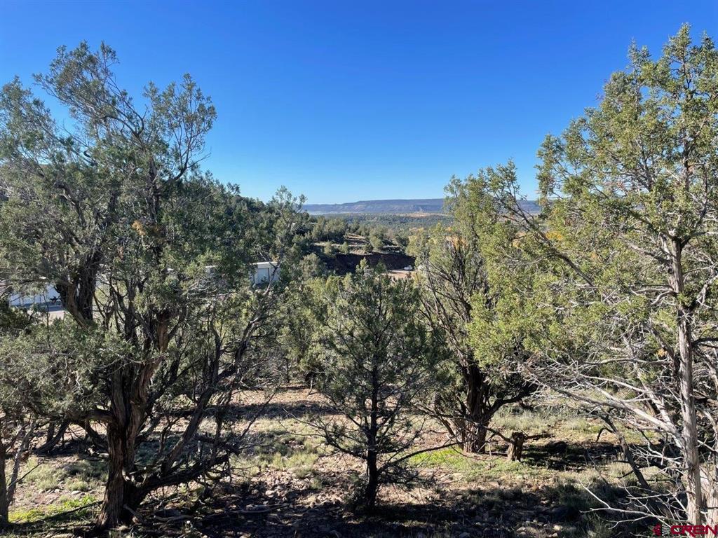 440 Run Around Road Property Photo 3