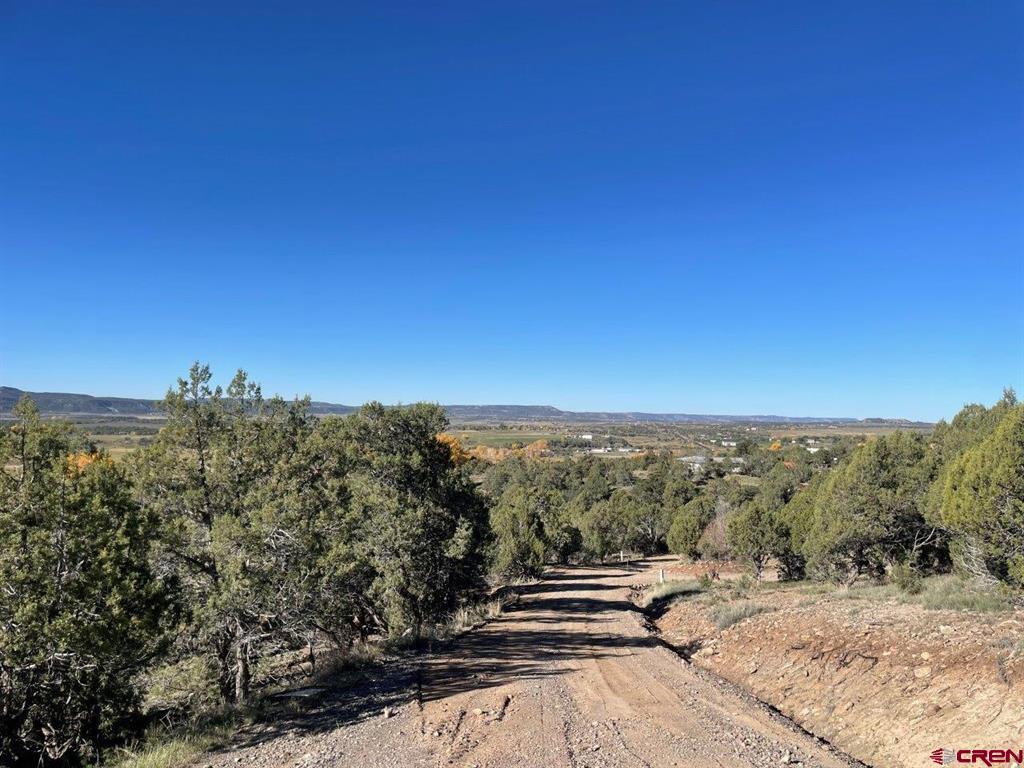 440 Run Around Road Property Photo 6