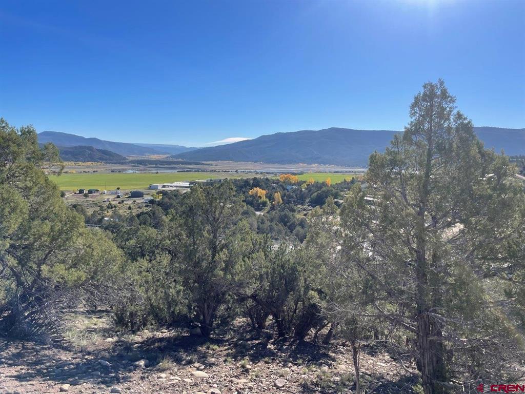 440 Run Around Road Property Photo 14