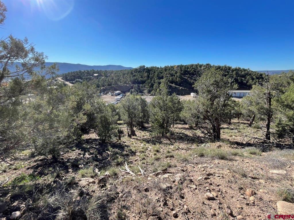 440 Run Around Road Property Photo 17