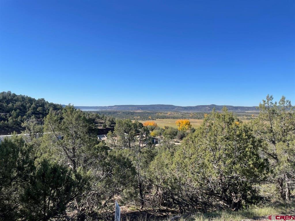440 Run Around Road Property Photo 18