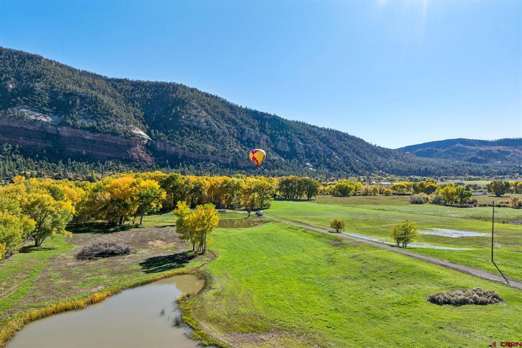 26068 Highway 550 Property Photo 7